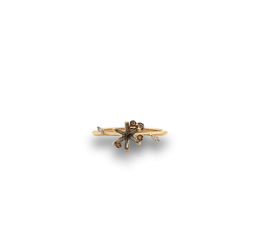 Complete Ring