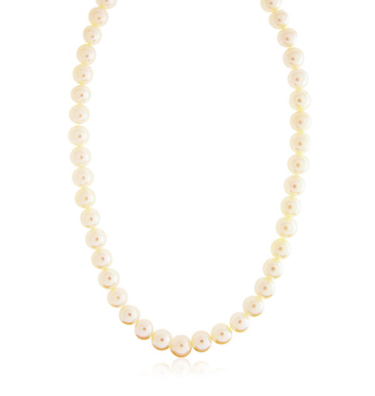 Freshwater Pearl Necklace