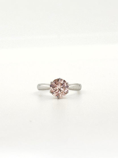 Rose Radiance