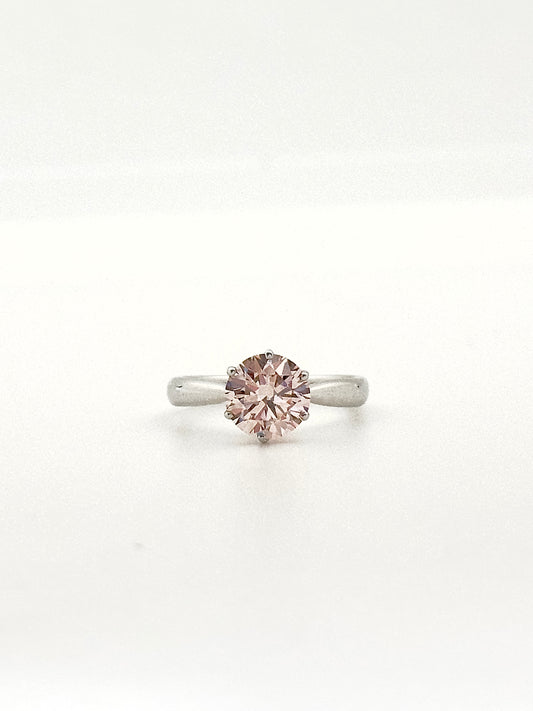 Rose Radiance