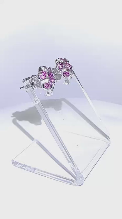 Pink Luster